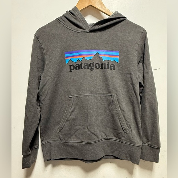 Patagonia Other - Patagonia Charcoal Hoodie with Logo Size Xl